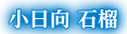 小日向 石榴